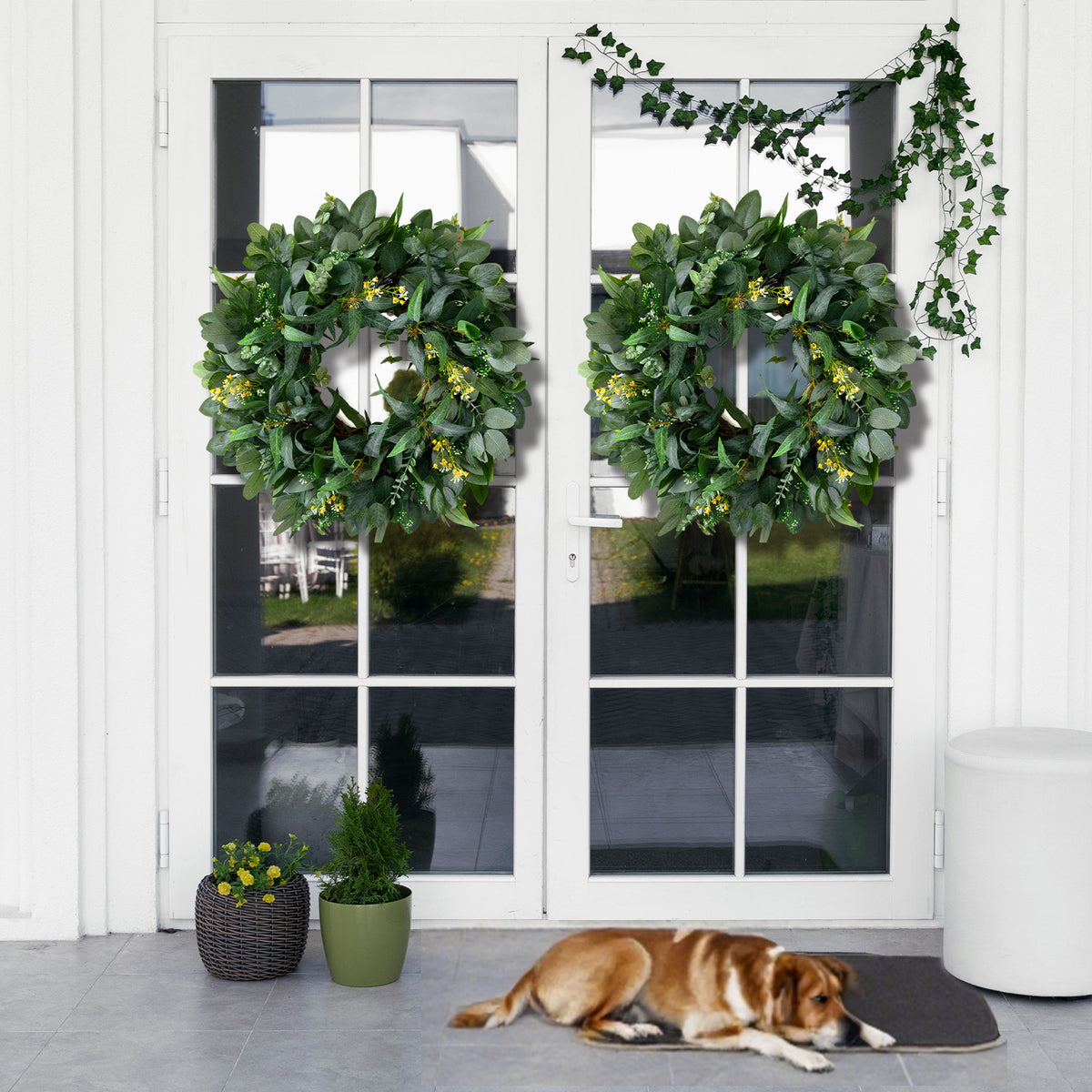 24" Eucalyptus Wreath with Yellow Blossoms