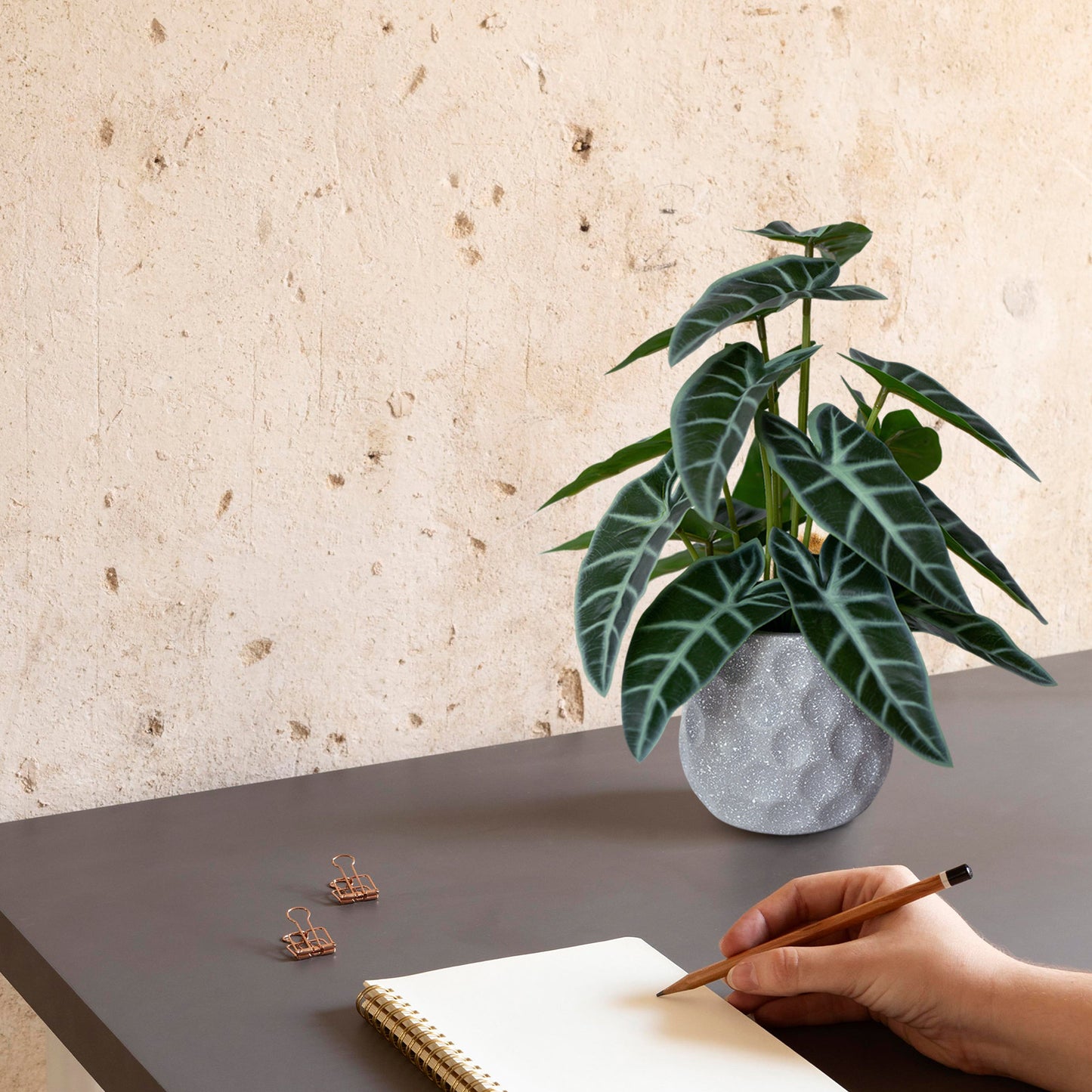 Artificial Potted Plants